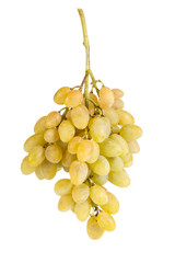 Green grapes branch isolated on white background. White wine berries.