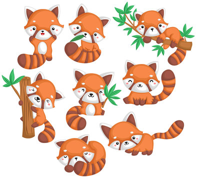 a vector of many red pandas in many poses