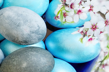 Painted Easter eggs and small flowers of almond branches. Easter atmosphere of spring and the symbol of Easter.