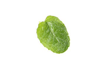 Fresh mint leaf isolated on white background
