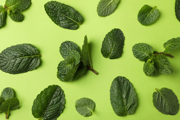 Fresh mint leaves on green background, top view