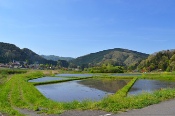 春の山と田植え前の水田