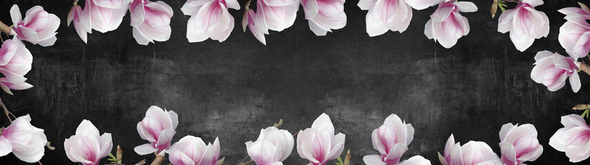 Frame made of beautyful flourish magnolia isolated on black concrete stone texture background banner panorama