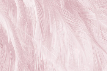 Beautiful lines violet - mauve mist colors tone feather texture background, trends color