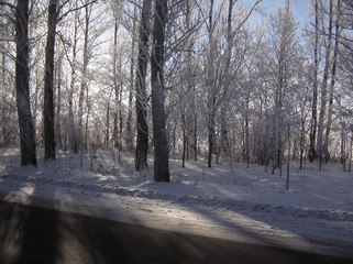 Tsarskoye Selo in the snow