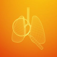 Lungs with trachea bronchi internal organ human with magnifying glass. Pulmonology medicine science analysis concept. Wireframe low poly mesh vector illustration