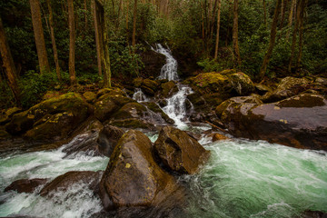 River and stream, smoky mountains, usa