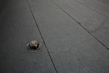 Diagonal floor tiles