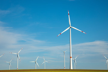 Fototapeta premium Green Energy Beauty Landscape With Group of Windmill at Sunny Day