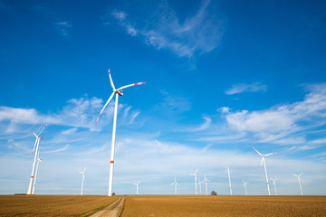 Green Energy Beauty Landscape With Group of Windmill at Sunny Day