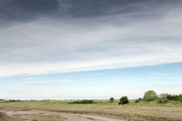 Fototapeta na wymiar marsh lands landscape in england