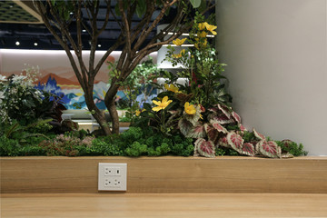 Plug Socket on the Wall with Pastel Background/Flower