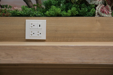 Plug Socket on the Wall with Pastel Background/Flower