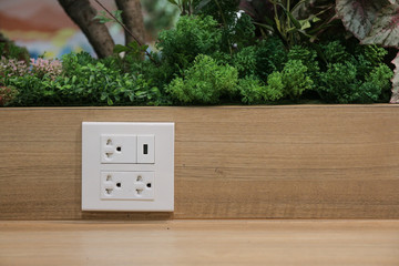 Plug Socket on the Wall with Pastel Background/Flower