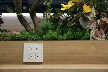 Plug Socket on the Wall with Pastel Background/Flower