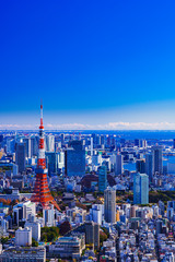 Landscape of Tokyo city high angle in Japan