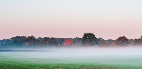 Misty rural landscape during sunrise.