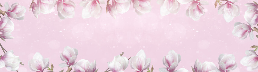 Frame made of beautyful flourish magnolia and soft flares and bokeh isolated on pink background banner panorama