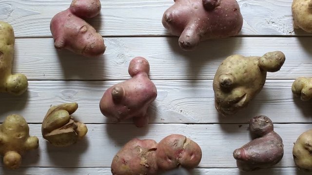 Ugly potatos on wooden background. Funny, unnormal vegetable or food waste concept.