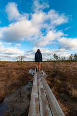 Young man hiking on the wooden hiking trail on the typical Estonian bog at sunny winter day without snow, pine forest at the background.