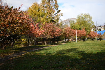 秋の公園1