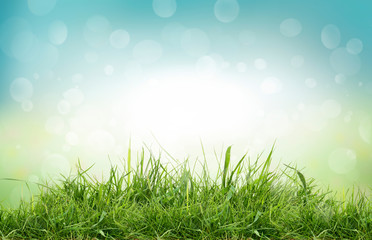 Fototapeta na wymiar A natural spring garden background of fresh green grass and blurred blue sky bokeh