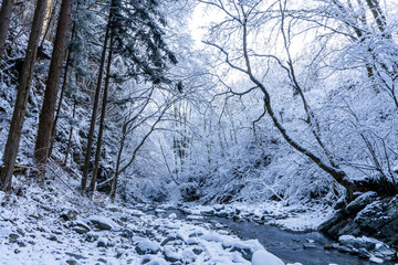 檜原村　龍神の滝付近の雪景色