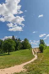 narrow dirt road leading to a tree-covered hill against a blue sky with white clouds