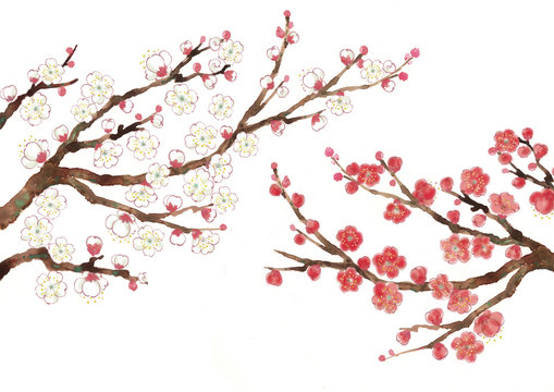 梅の木 Images – Browse 13,881 Stock Photos, Vectors, and Video