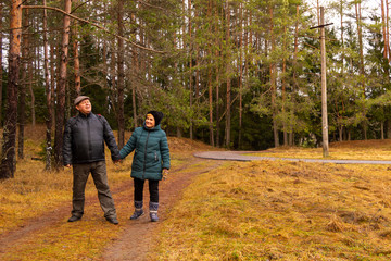 Fototapeta premium Elderly men and a woman walk along a forest path together.