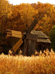 old windmill in the forest