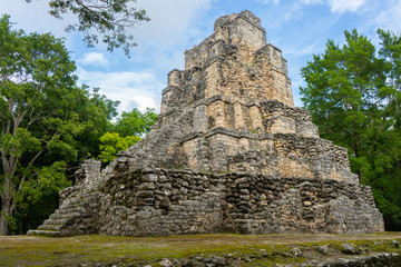 Ruins of ancient Muyil. Architecture of ancient maya. View with temple and other old buildings, houses. Blue sky and lush greenery of nature. travel photo. Wallpaper or background. Yucatan. Mexico.