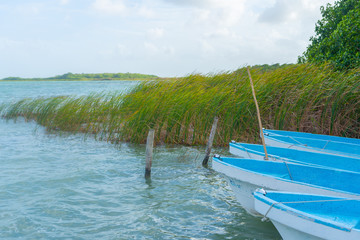 Naklejka na ściany i meble Laguna near Muyil. View with boats. Travel photo, background. Yucatan. Quintana roo. Mexico.