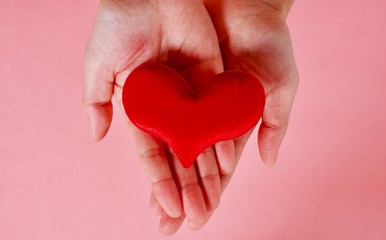 two hands holding a small red heart in palms on the pink background