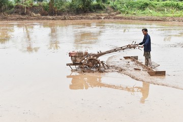 farmer plowing in rice field prepare plant rice under sunlight