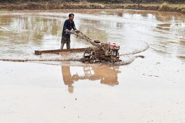 farmer plowing in rice field prepare plant rice under sunlight