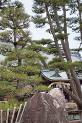 Fototapeta na wymiar Japanese garden and shrine 1