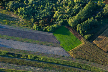 Aerial view of the mosaic of the fields and the woods
