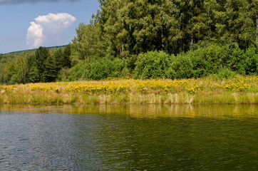 Landscape by Vlasinsko lake in Sarbia