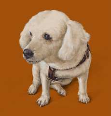 illustration painting of the dog , Drawing ,Hand drawn home pet.digital art style