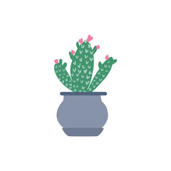 Cute prickly green cactus in pots. Houseplant in doodle style.