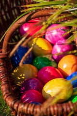 Close-up of Easter eggs in various colors in wicker basket in the garden on sunny April morning (springtime). Egg hunt German Easter season holiday tradition. Vertical format
