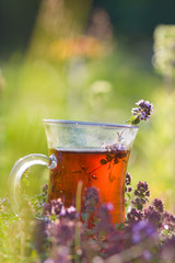 Cup of herbal tea in thyme herbs in summer. Turkish tea cup in sunny day