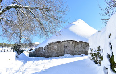 Famous Piornedo mountain village after a snowfall with ancient round Palloza stone houses with thatched roofs. Ancares, Lugo, Galicia, Spain.