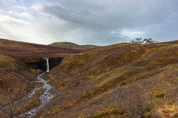 Fototapeta na wymiar Svartifoss Waterfall in Skaftafell national park (Iceland)
