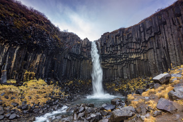 Svartifoss Waterfall in Skaftafell national park (Iceland)