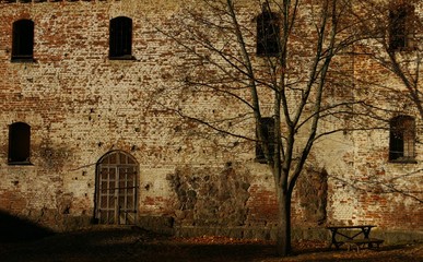 Fototapeta na wymiar leafless tree on the vyborg fortress.windows and door of vyborg fortress.old 