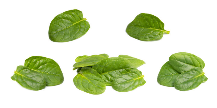Set photos of spinach leaves from different angles. Ingredient for a healthy diet. Isolated on a white background.