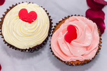 Valantine day and cupcake love on white background