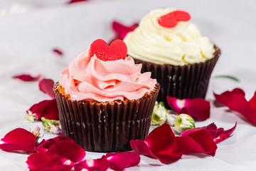 Valantine day and cupcake love on white background